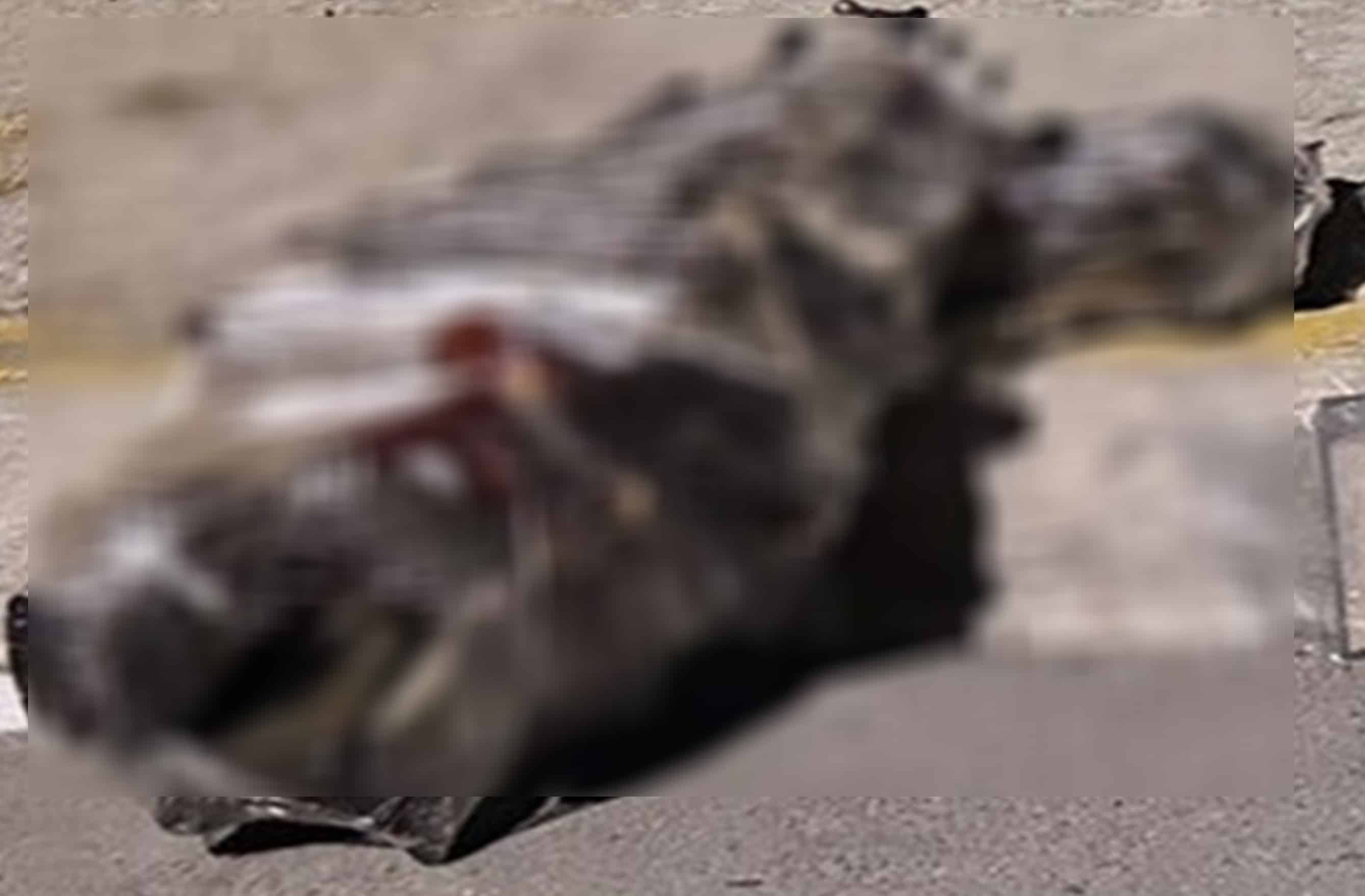 Asegura GN y Ej&eacute;rcito 32 armas de fuego; detienen a sujeto en Saltillo