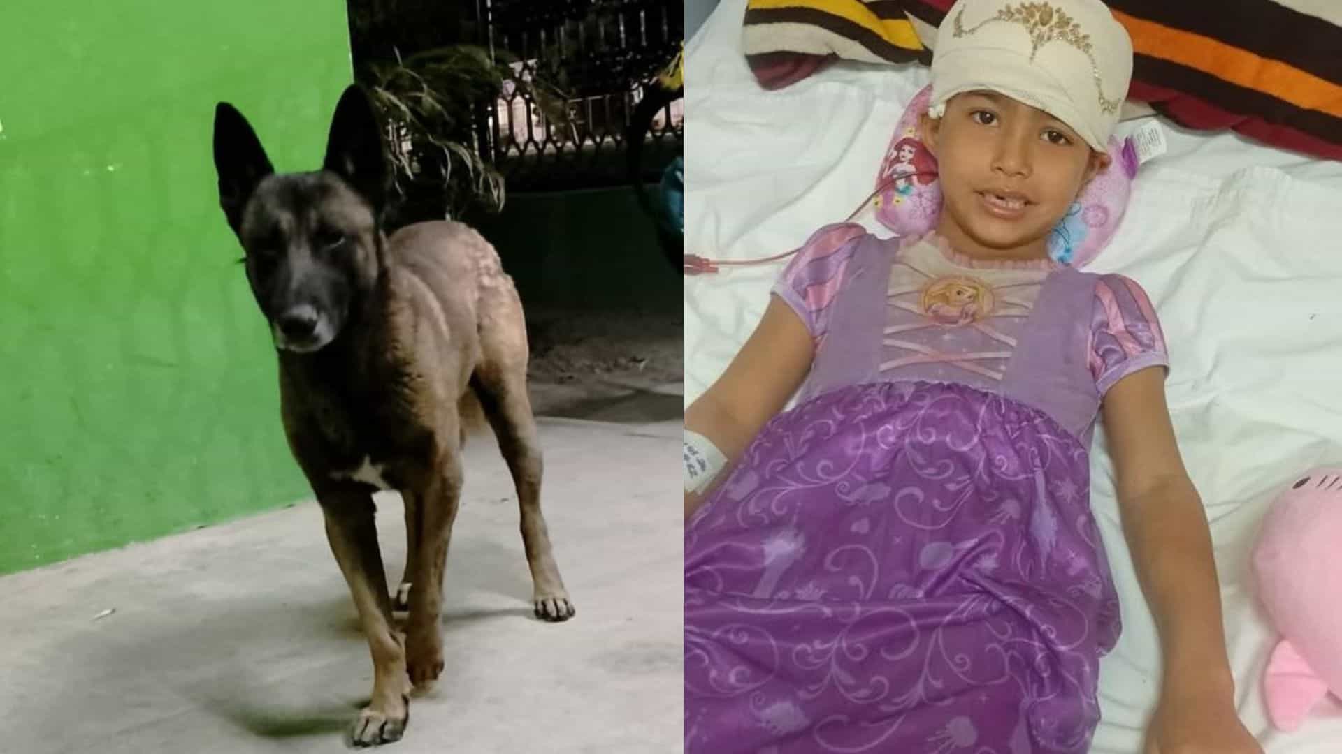 Familia de Greicy solicita oraciones y apoyo tras ataque;