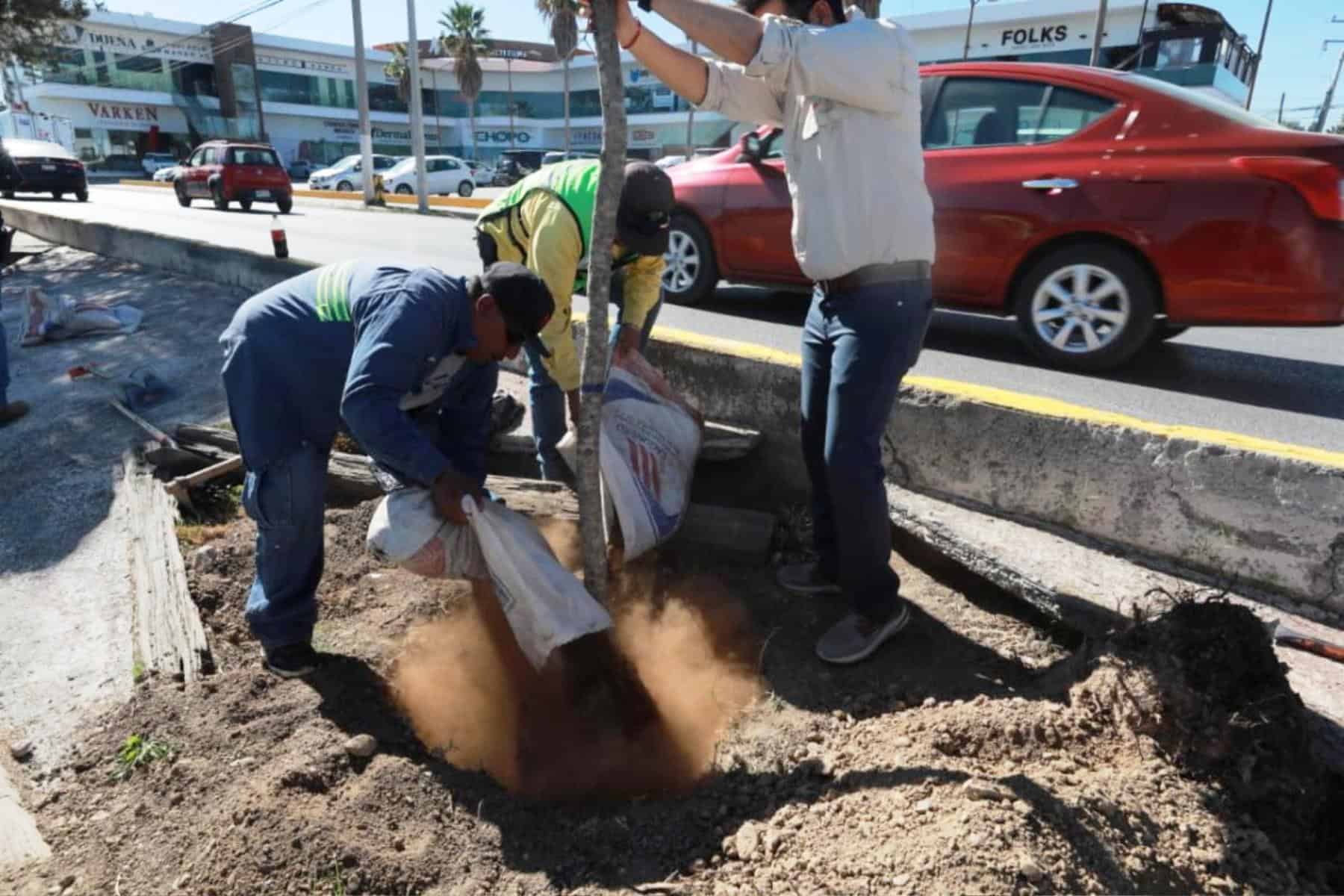 Bosques Lineales Urbanos llegan a Saltillo de la mano de Javier D&iacute;az Gonz&aacute;lez