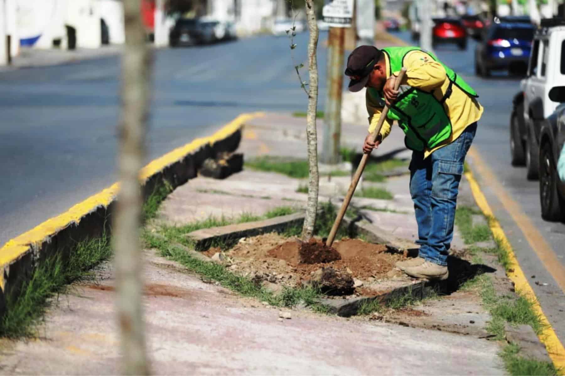 Bosques Lineales Urbanos llegan a Saltillo de la mano de Javier D&iacute;az Gonz&aacute;lez