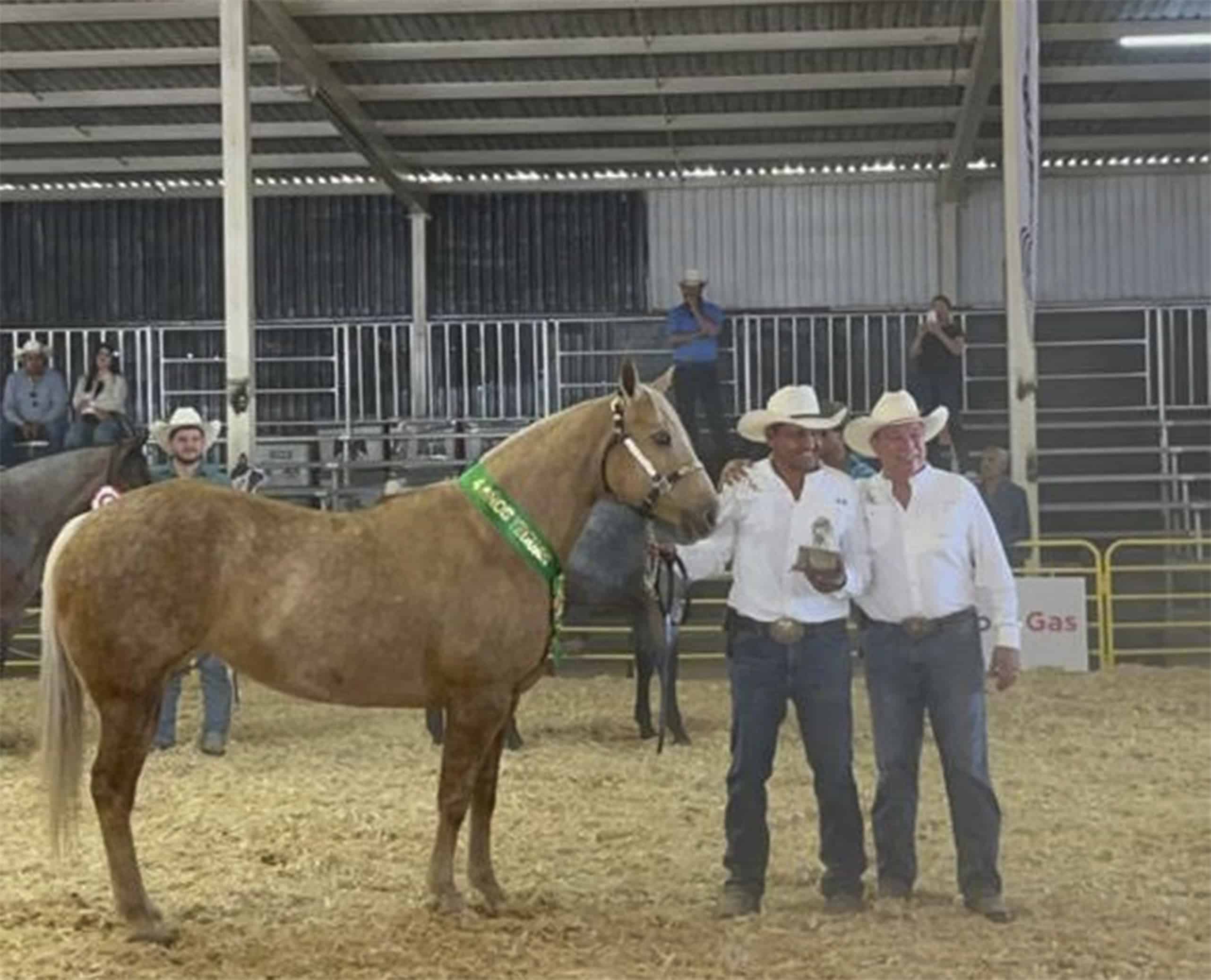 "La Katrina" brilla en AgroFest Coahuila 2026 y da triunfo a criadero de Morelos