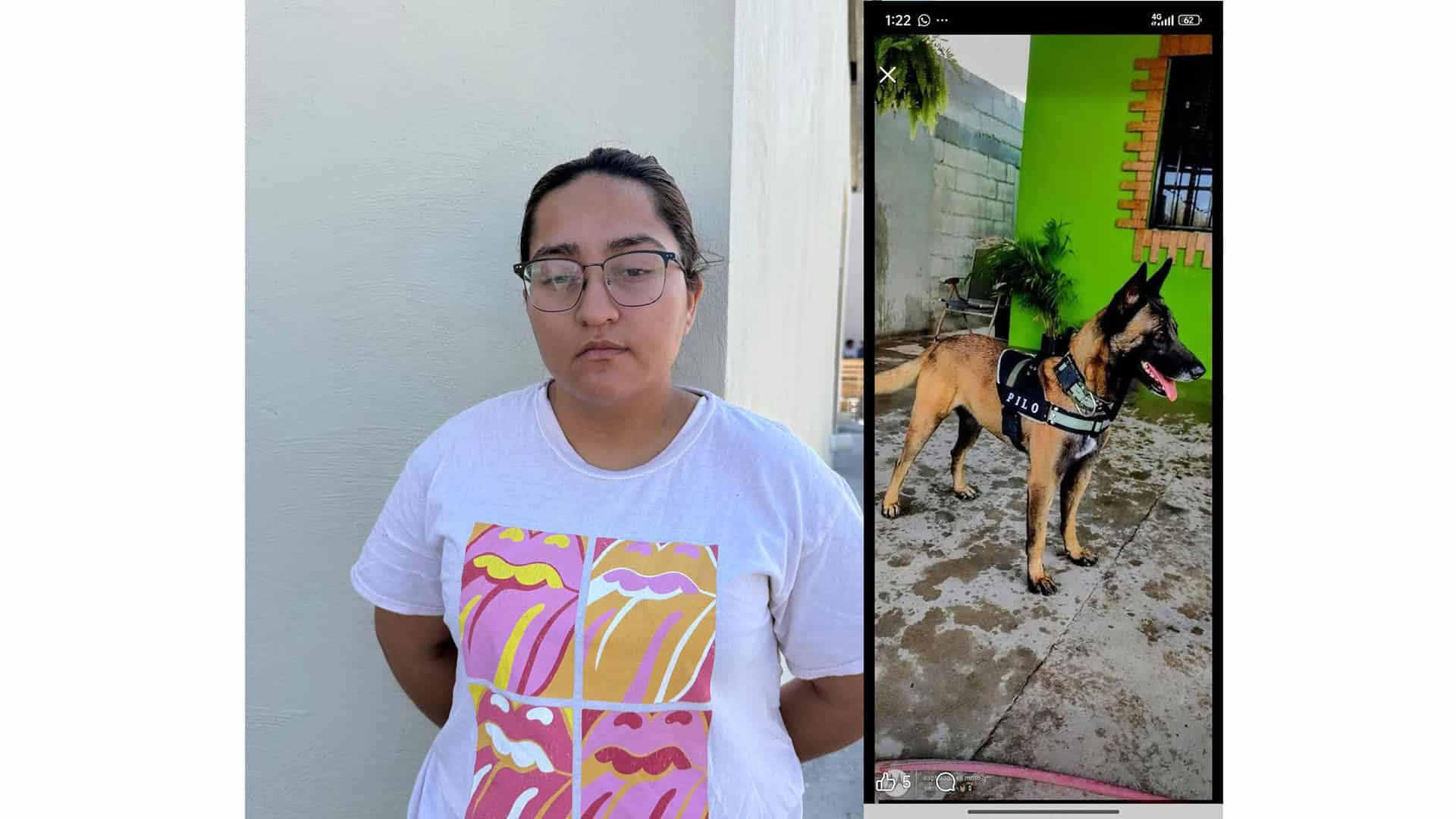 Ni&ntilde;a perdona a Pilo, su Pastor Belga Malinois, tras ataque en casa