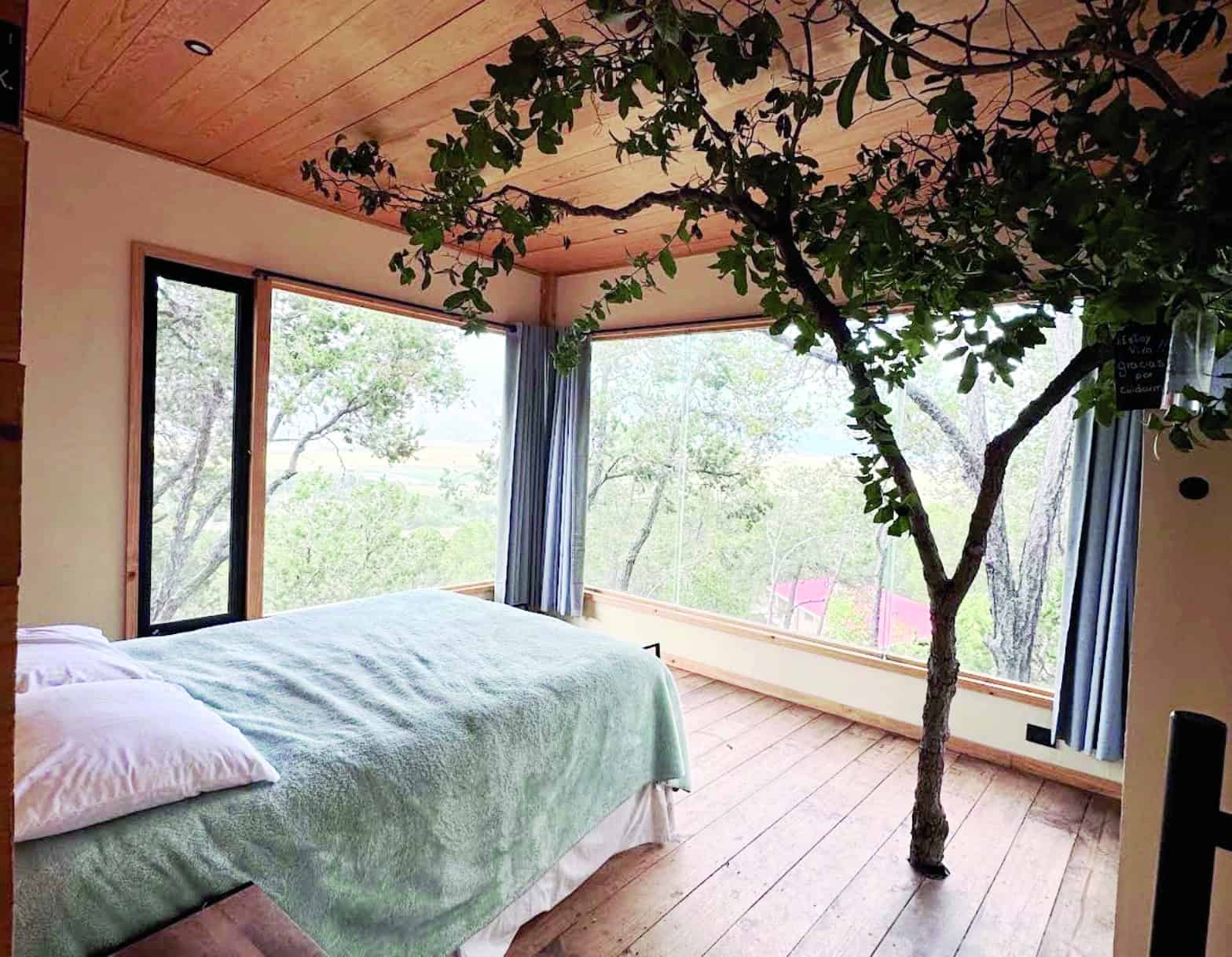 Fraude en caba&ntilde;as de Arteaga: autoridades alertan a turistas