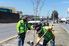 Alcalde Javier Díaz González promueve reforestación en Saltillo