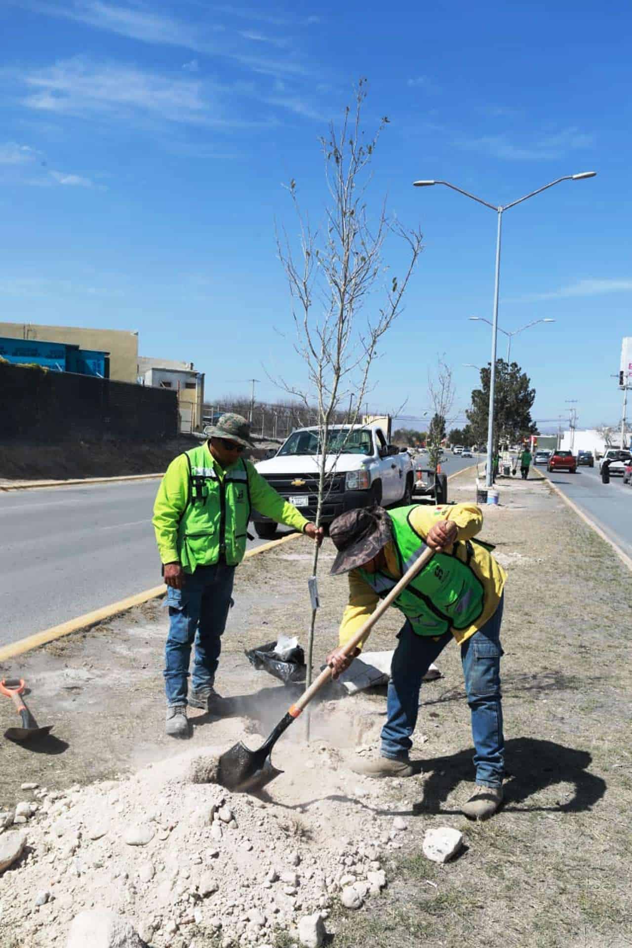 Alcalde Javier D&iacute;az Gonz&aacute;lez promueve reforestaci&oacute;n en Saltillo