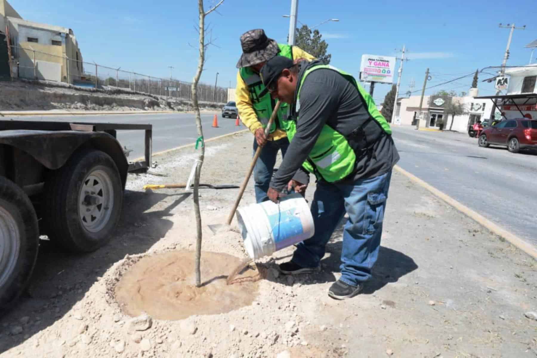 Alcalde Javier D&iacute;az Gonz&aacute;lez promueve reforestaci&oacute;n en Saltillo