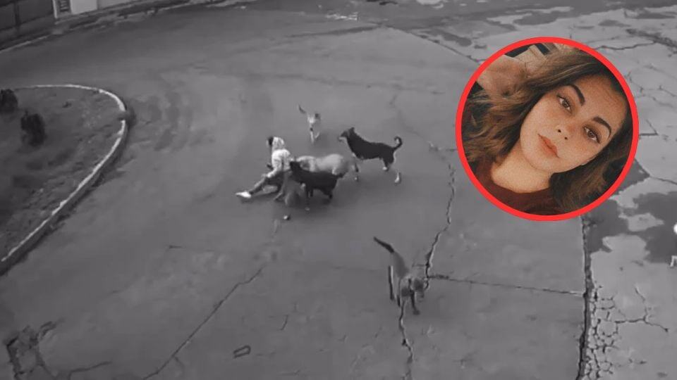 Madre muere al proteger a su hijo de ataque de perros en Arizona