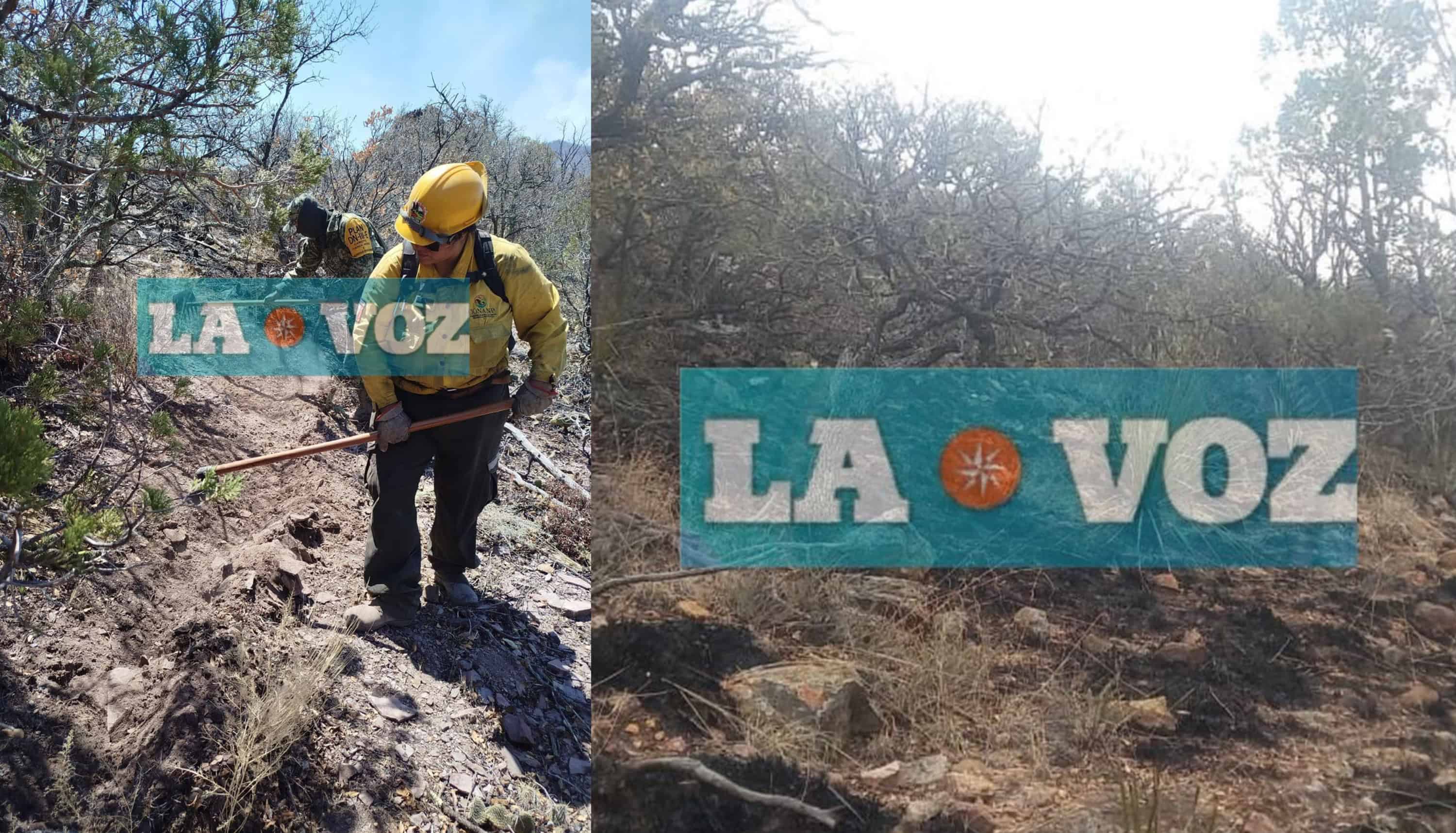 Extinguen incendio forestal en Maderas del Carmen