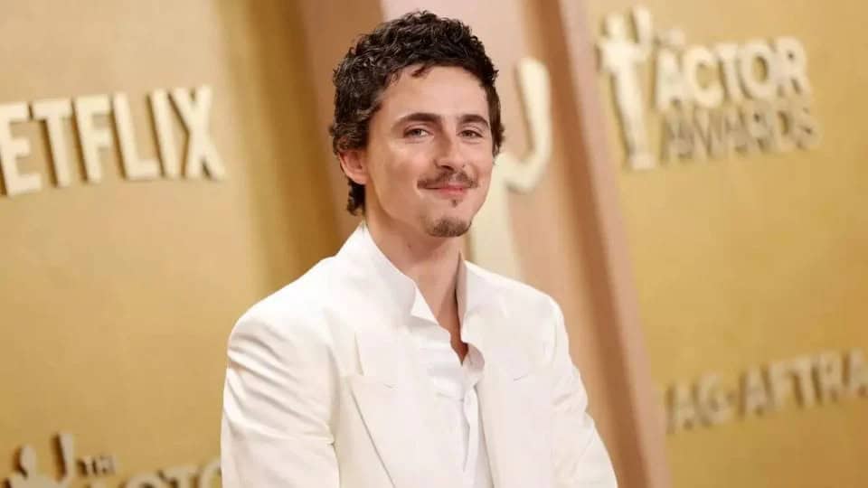 Timoth&eacute;e Chalamet provoca controversia por sus declaraciones sobre ballet y &oacute;pera