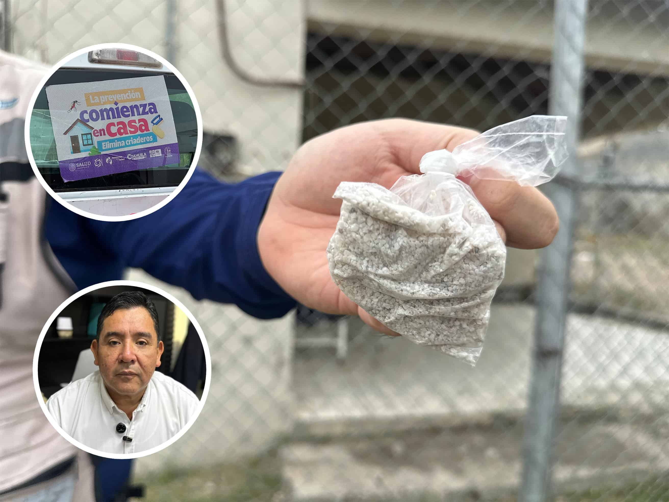 Refuerzan acciones contra mosquitos tras lluvias en Piedras Negras