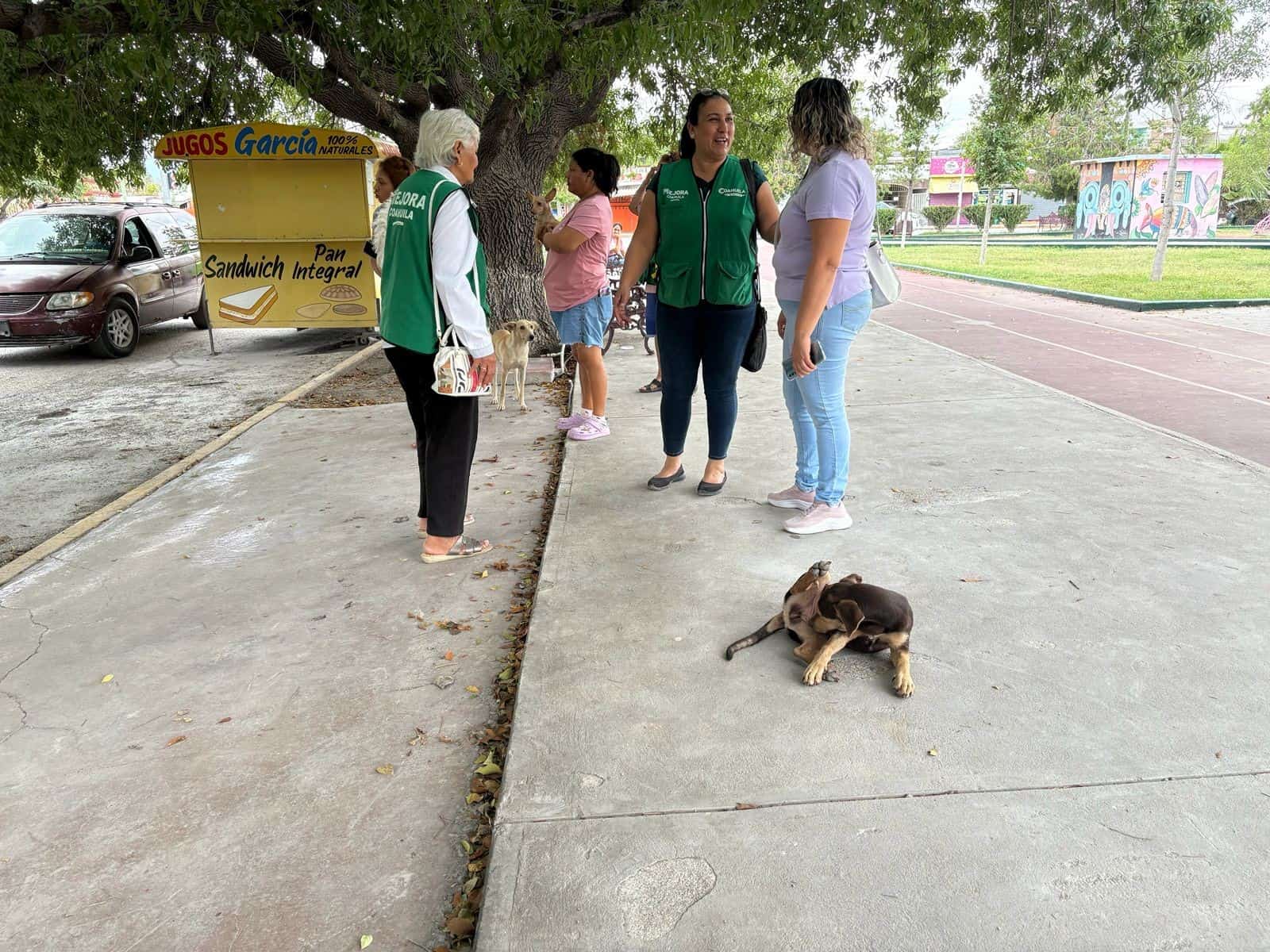 Tuilzie Ibarra condena campa&ntilde;a de odio hacia perros en Frontera
