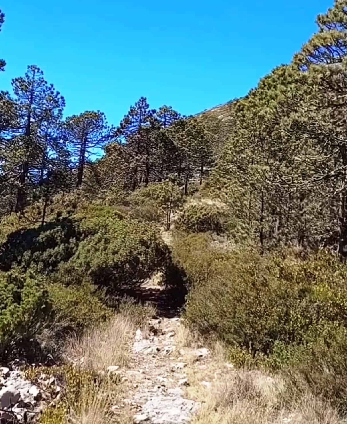Para garantizar seguridad a senderistas piden se registren antes de subir a la sierra