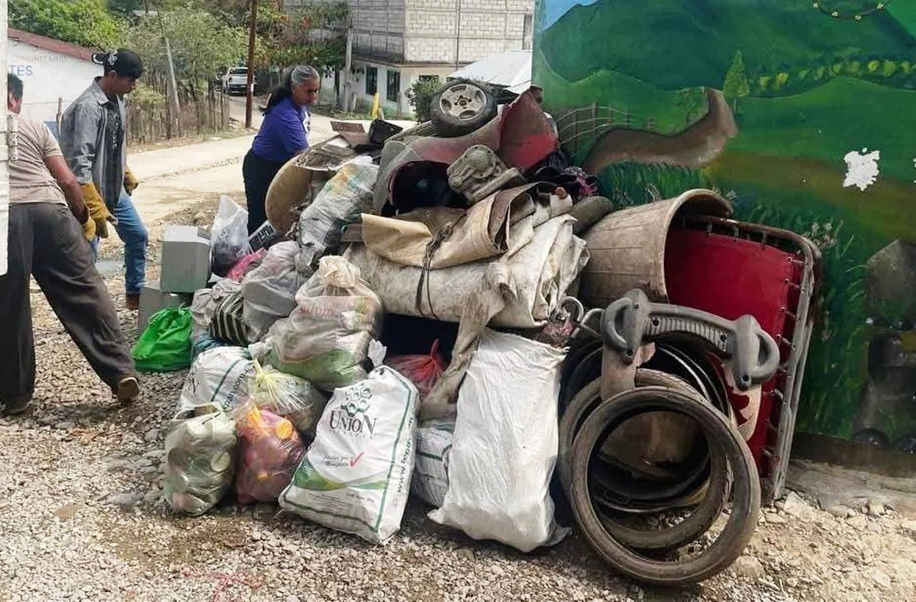 Falta de frío en Saltillo propicia riesgos de salud