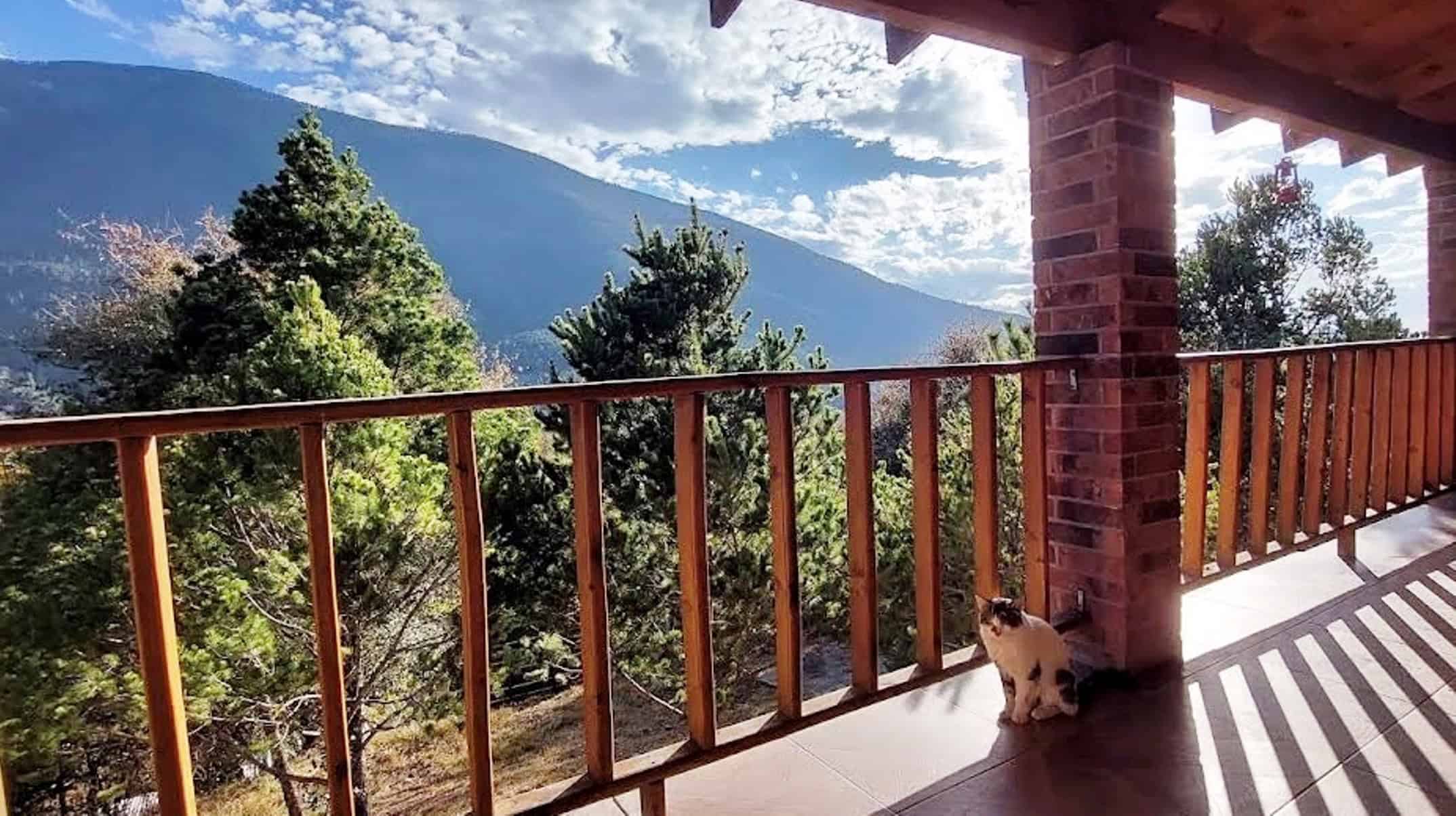 Autoridades de Arteaga informan sobre registro de caba&ntilde;as y prevenci&oacute;n de fraudes