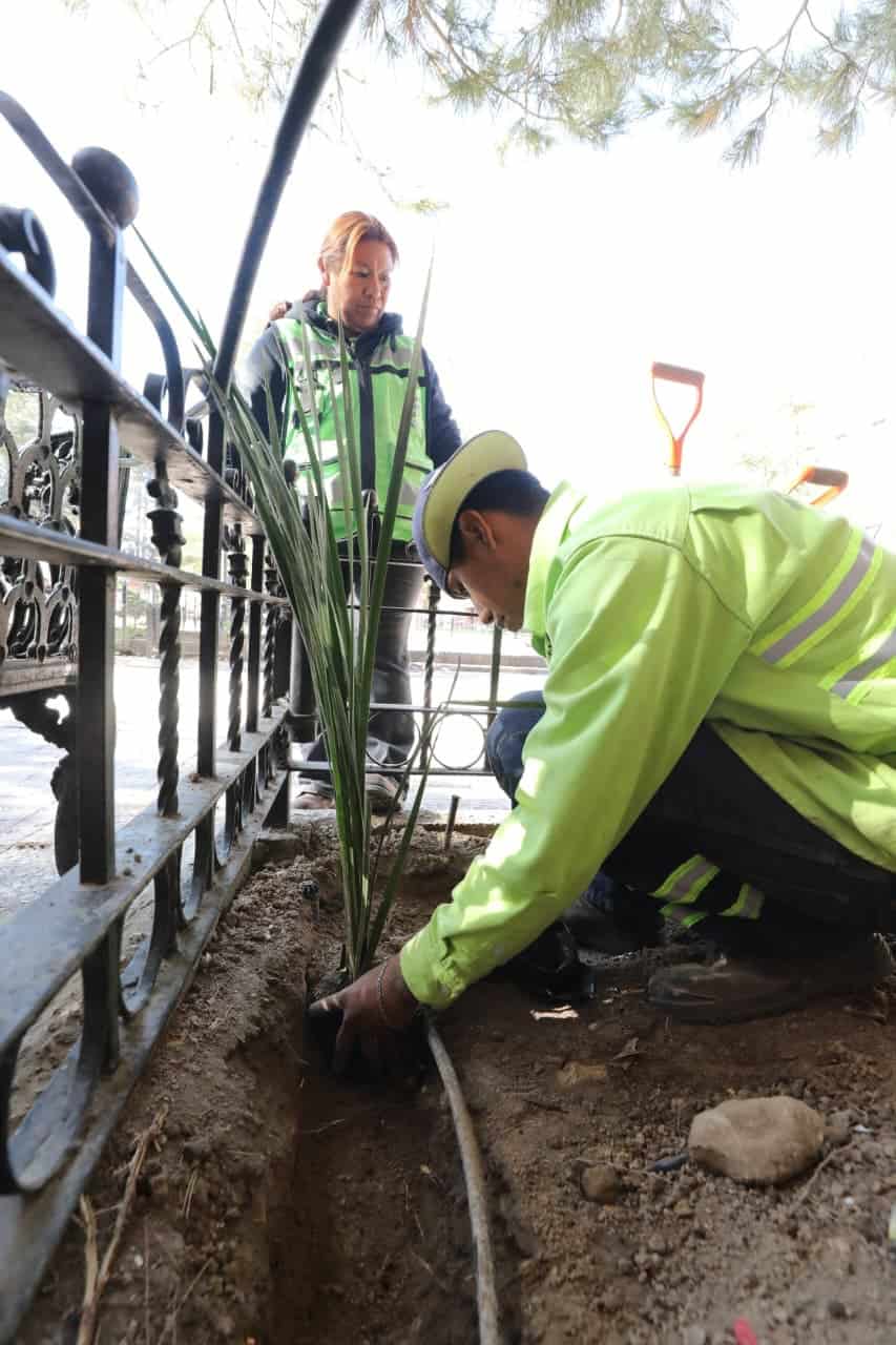 Saltillo renueva Plaza de Armas con acciones de embellecimiento