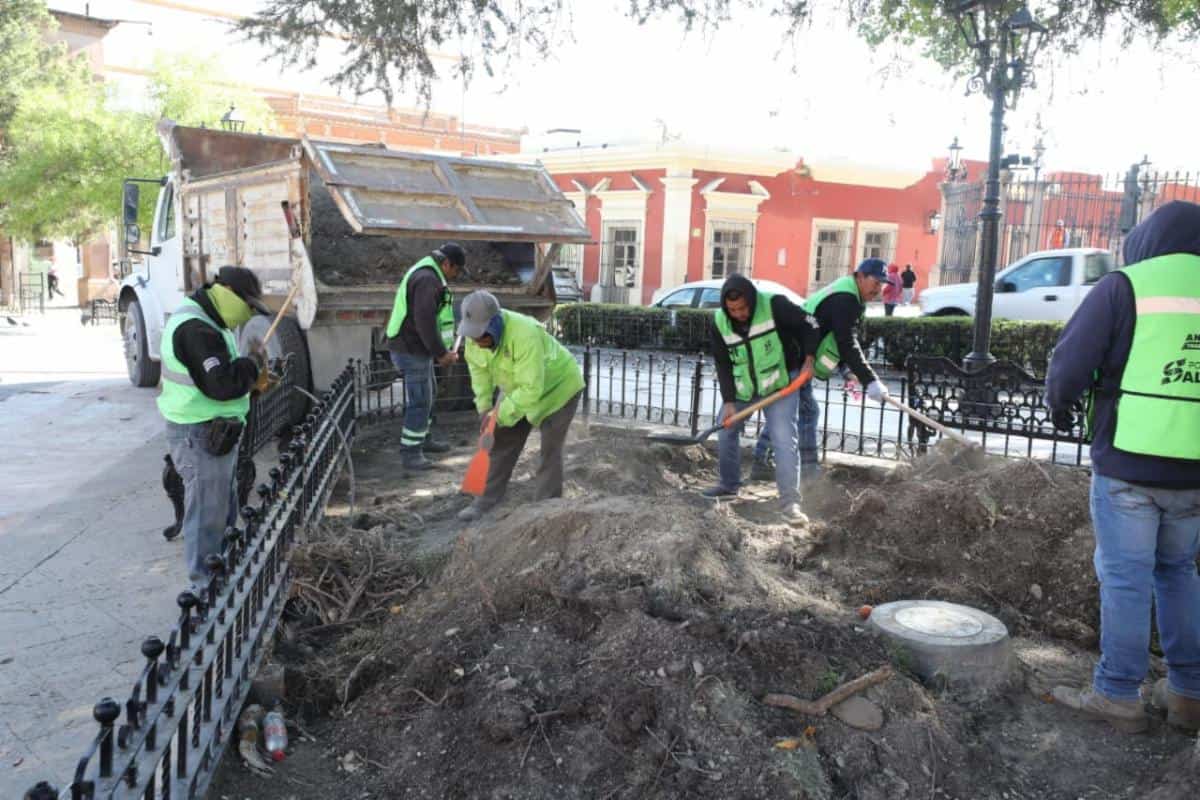 Saltillo renueva Plaza de Armas con acciones de embellecimiento