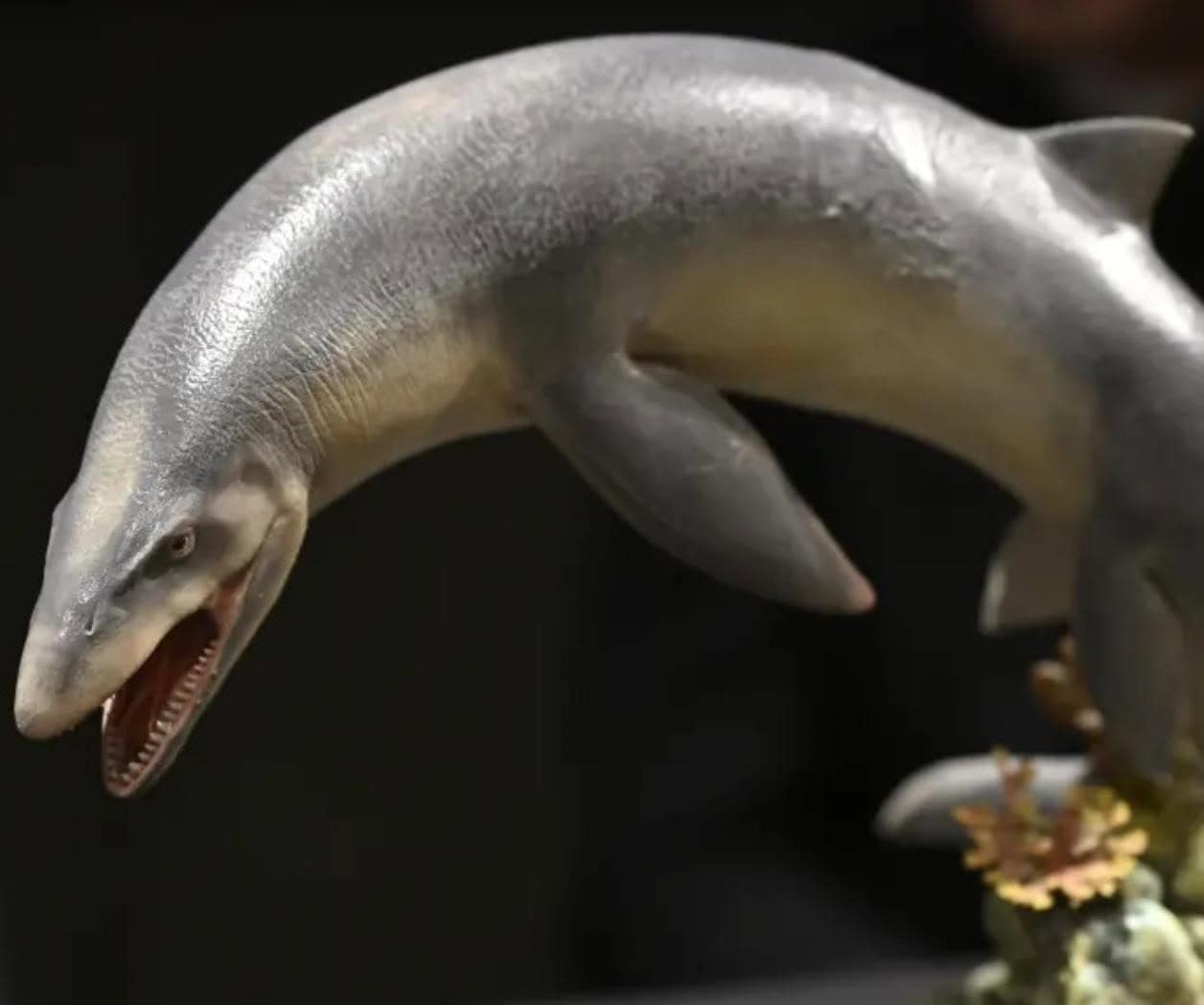 Nuevo mosasaurio en Nuevo Le&oacute;n: hallazgo del Museo del Desierto