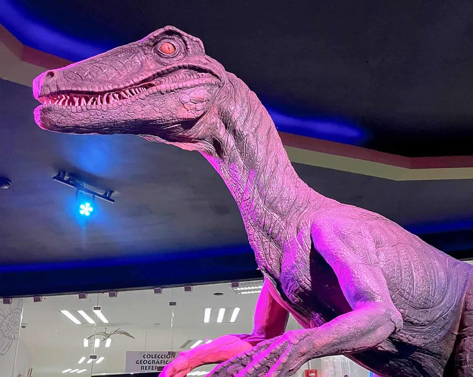 Museo del Desierto se renueva con Campamento Cret&aacute;cico