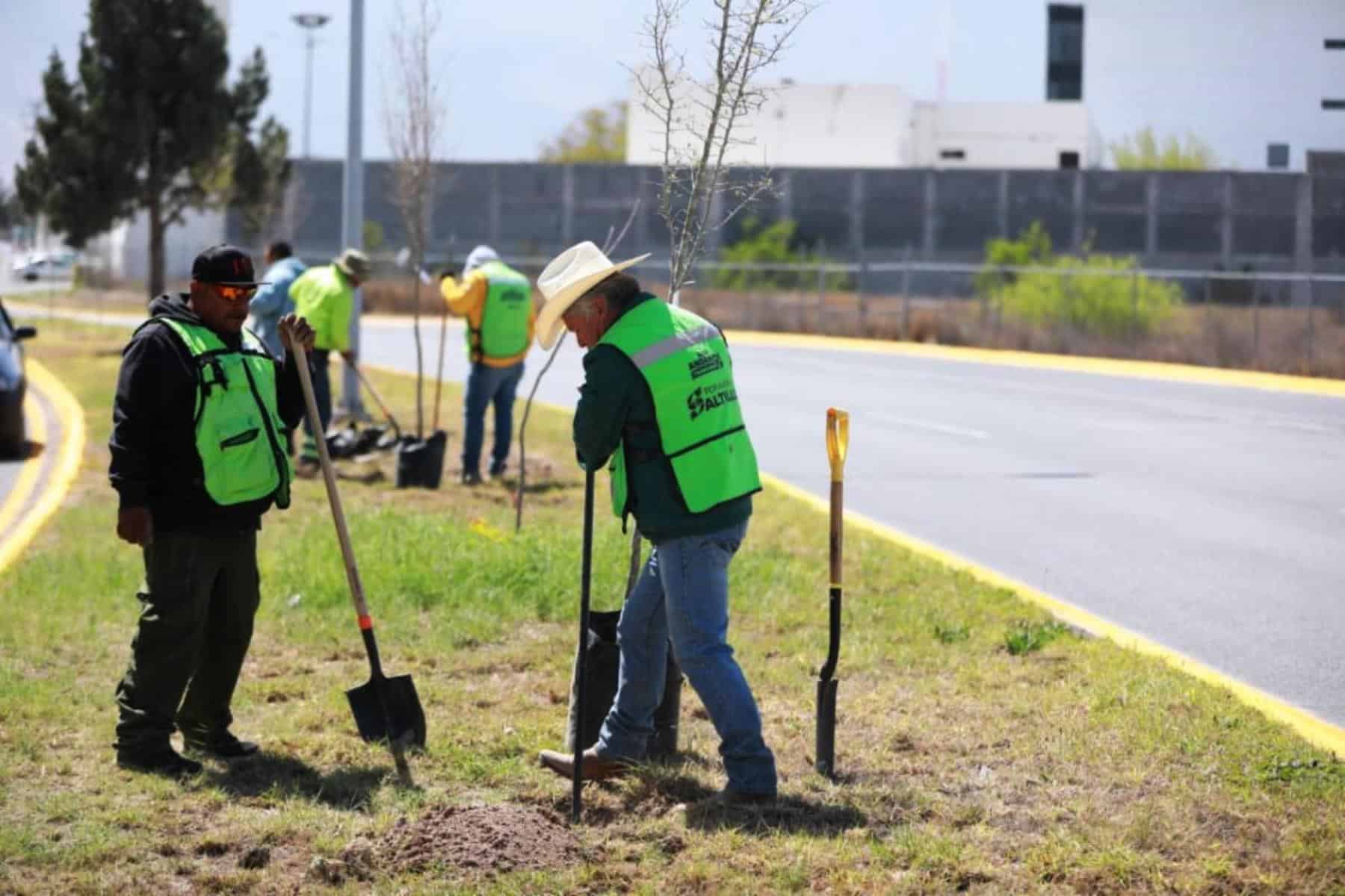 Alcalde Javier D&iacute;az impulsa reforestaci&oacute;n en Saltillo
