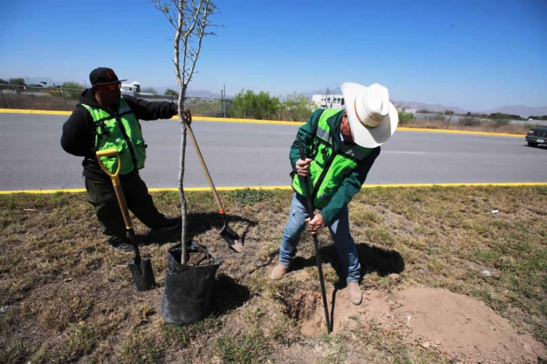 Alcalde Javier D&iacute;az impulsa reforestaci&oacute;n en Saltillo