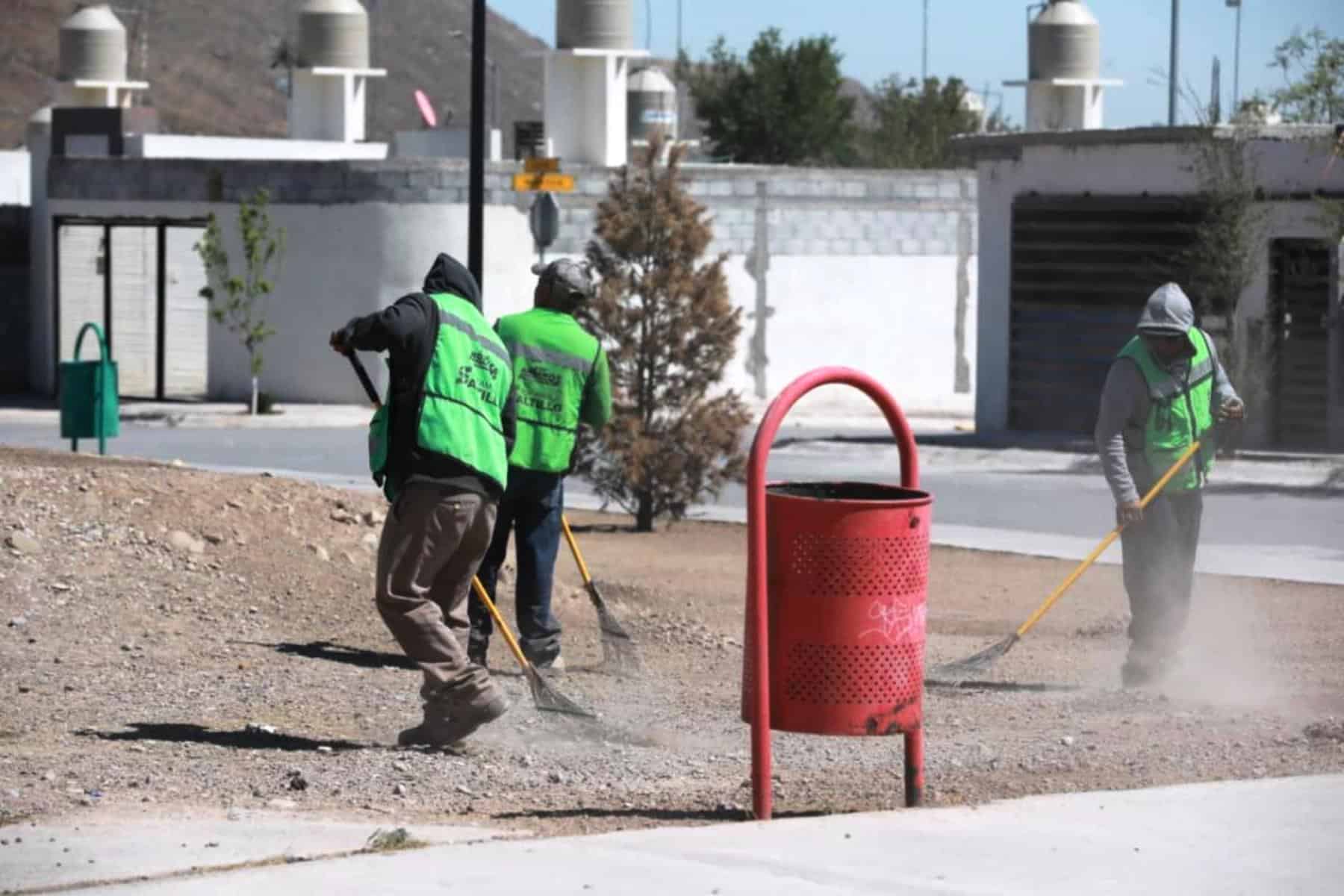 Gobierno de Saltillo realiza poda de palmas en Venustiano Carranza para mejorar seguridad vial