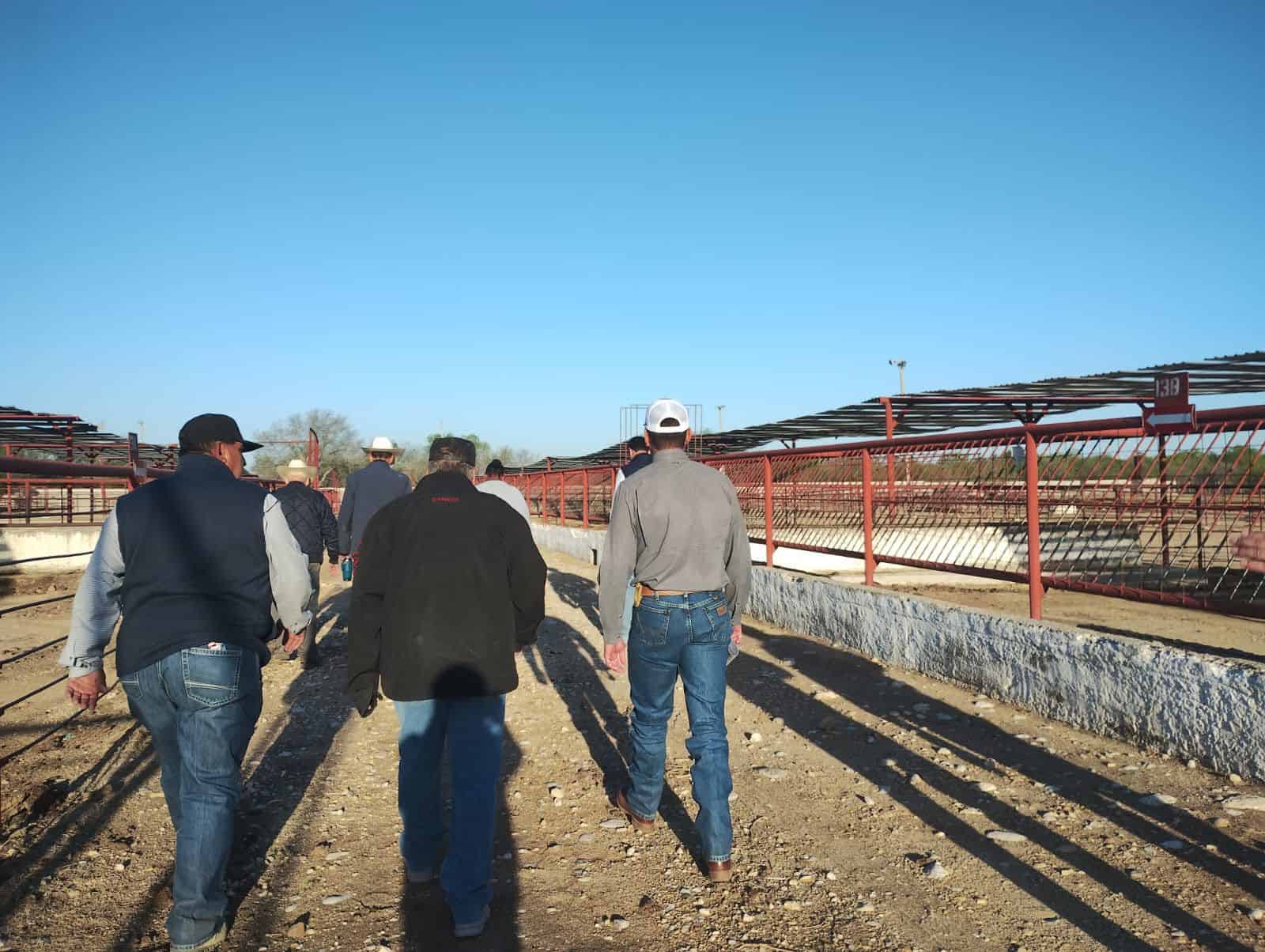 Revisan cuarentenaria en Ciudad Acu&ntilde;a para reactivar exportaci&oacute;n de ganado