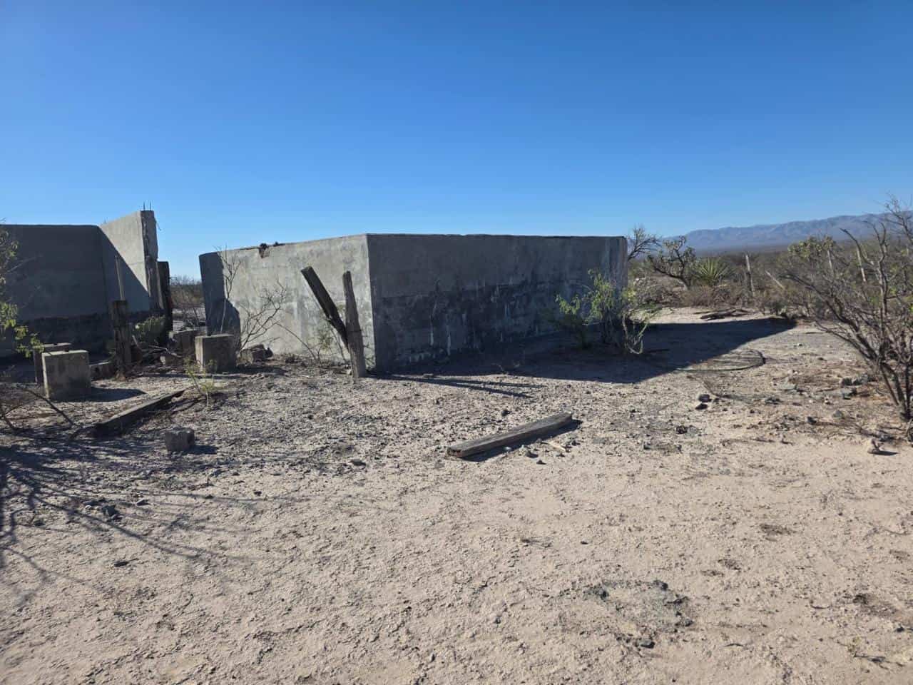 B&uacute;squeda activa de menores desaparecidos en Casta&ntilde;os: autoridades en acci&oacute;n