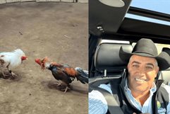 CONFIRMAN TORNEO DE PELEAS DE GALLOS EN SABINAS