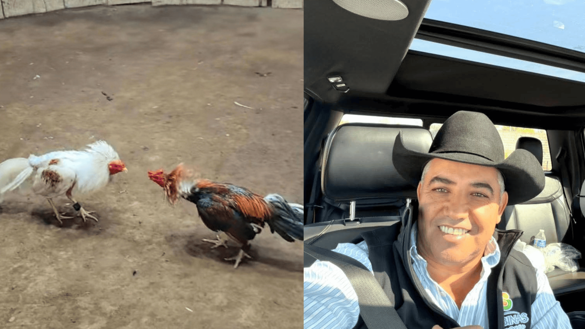 CONFIRMAN TORNEO DE PELEAS DE GALLOS EN SABINAS