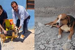 La solidaridad salva el vínculo entre mujer ciega con cáncer y su perro guía, Matías.