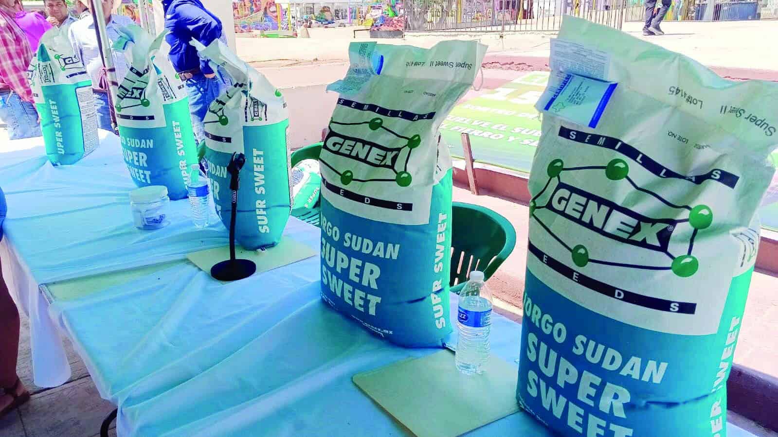 Sabinas recibe 15 toneladas de sorgo forrajero: inversi&oacute;n de 700 mil pesos