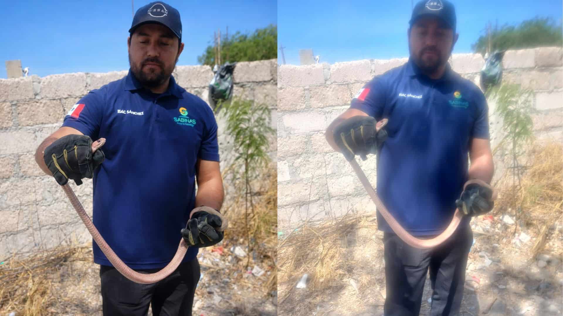 V&iacute;bora provoca alarma en Nueva Esperanza: Protecci&oacute;n Civil responde