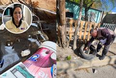 Lluvias elevan riesgo sanitario: alertan por proliferación de mosquitos en Piedras Negras