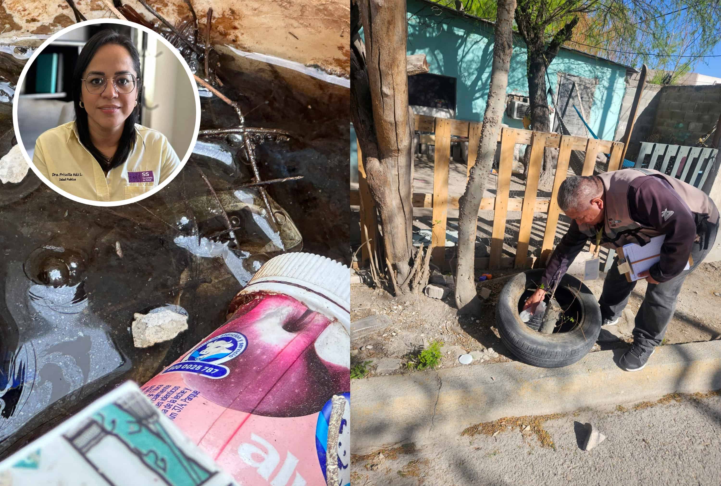 Lluvias elevan riesgo sanitario: alertan por proliferaci&oacute;n de mosquitos en Piedras Negras