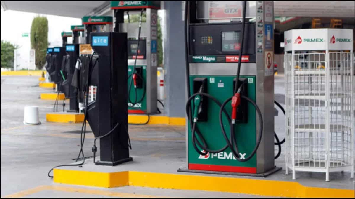 &iquest;Gasolina Magna o Premium? Elige la mejor opci&oacute;n para tu auto