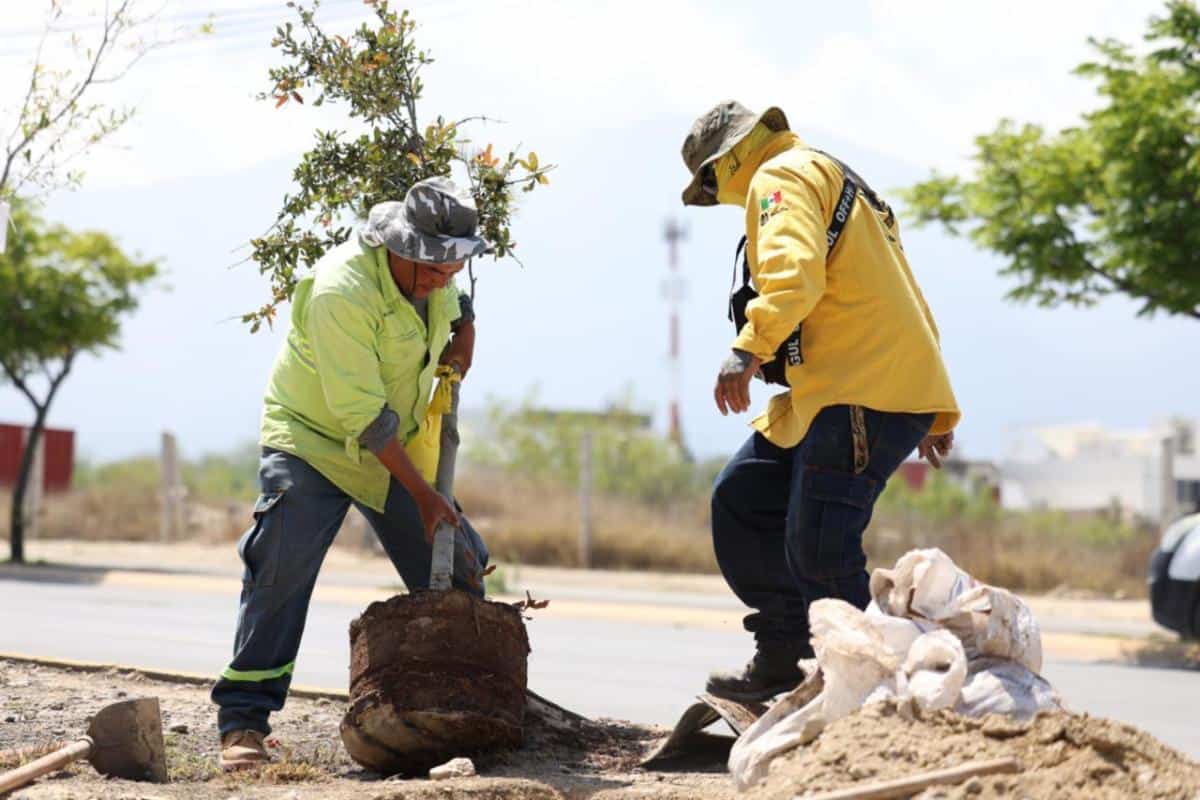Javier D&iacute;az promueve reforestaci&oacute;n en Saltillo: Bosques Urbanos Lineales