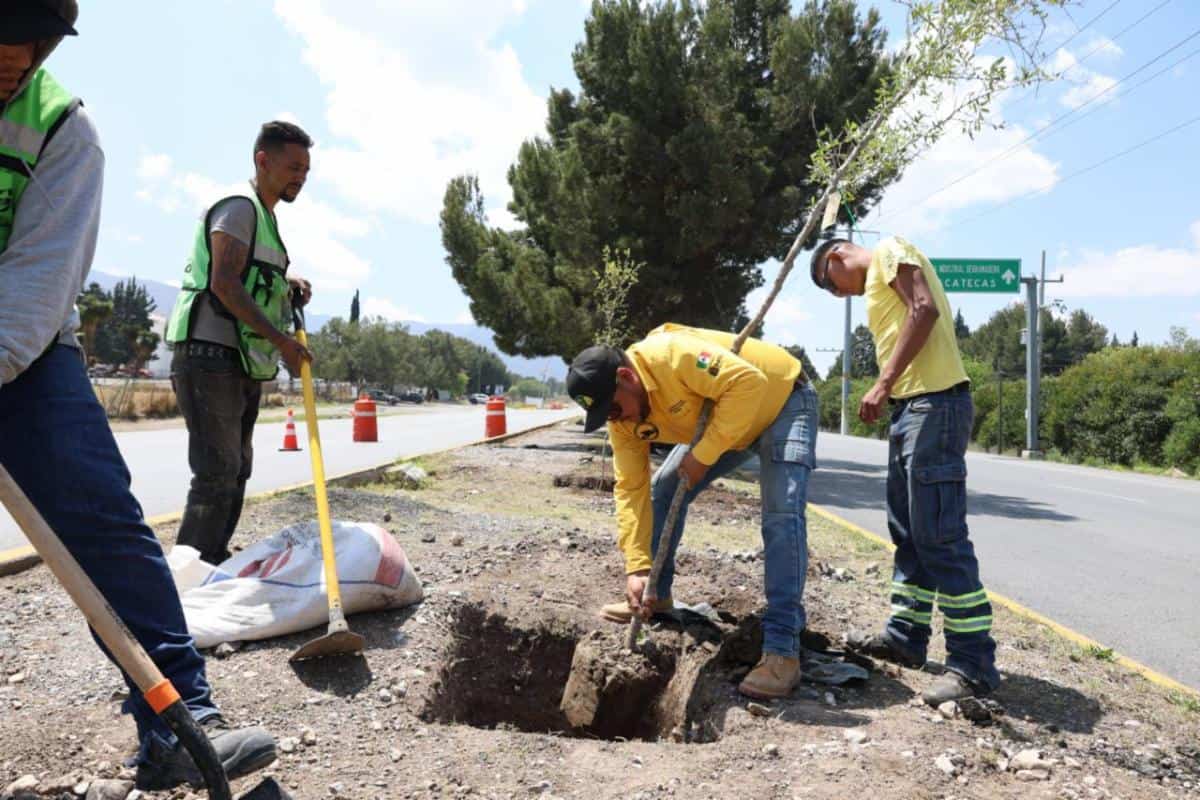 Javier D&iacute;az promueve reforestaci&oacute;n en Saltillo: Bosques Urbanos Lineales