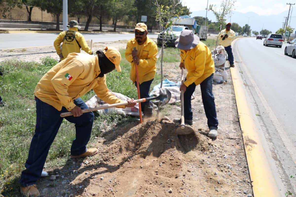 Javier D&iacute;az promueve reforestaci&oacute;n en Saltillo: Bosques Urbanos Lineales