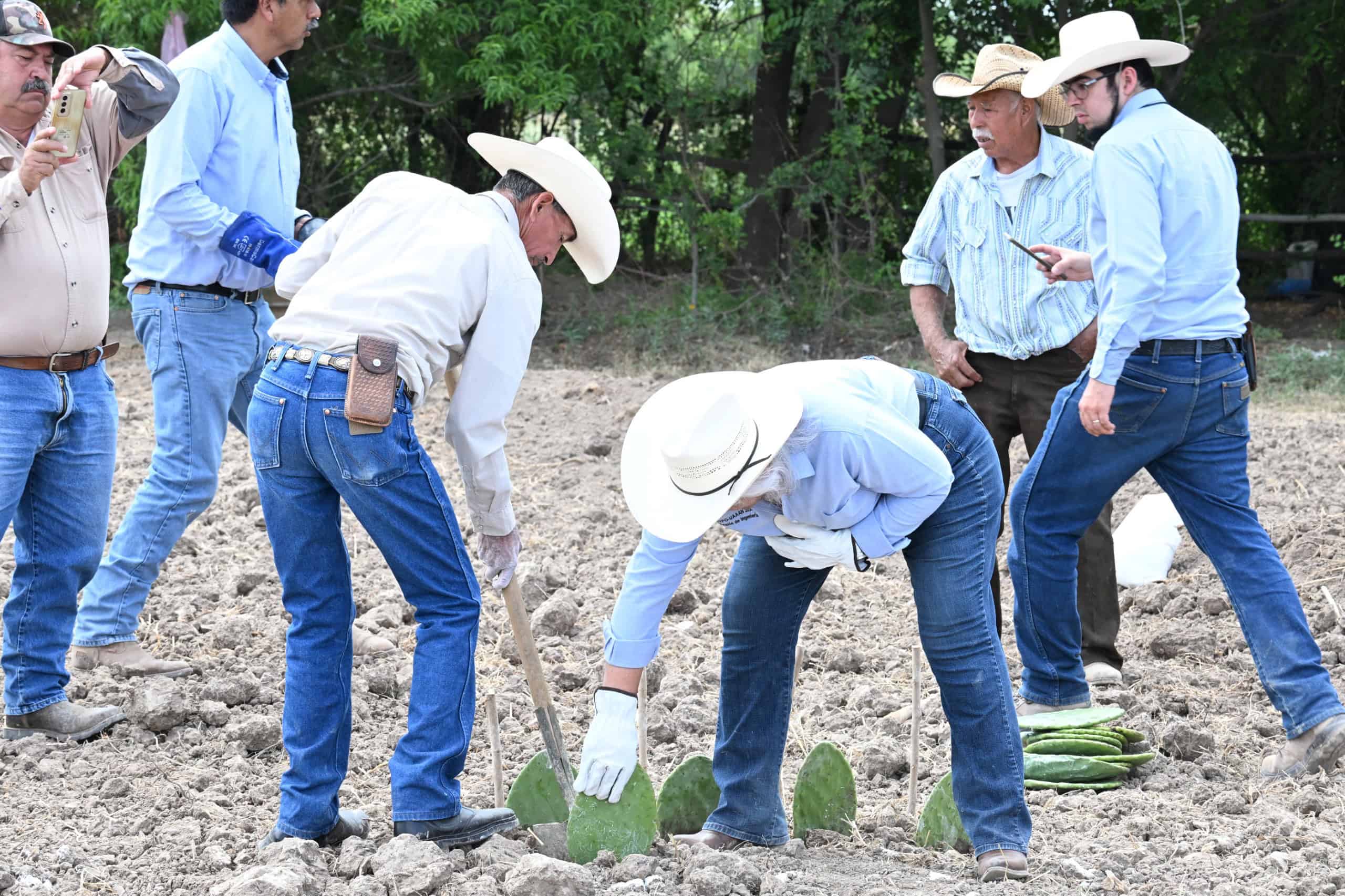 Gobierno Municipal de Frontera inicia siembra de nopal en ejidos