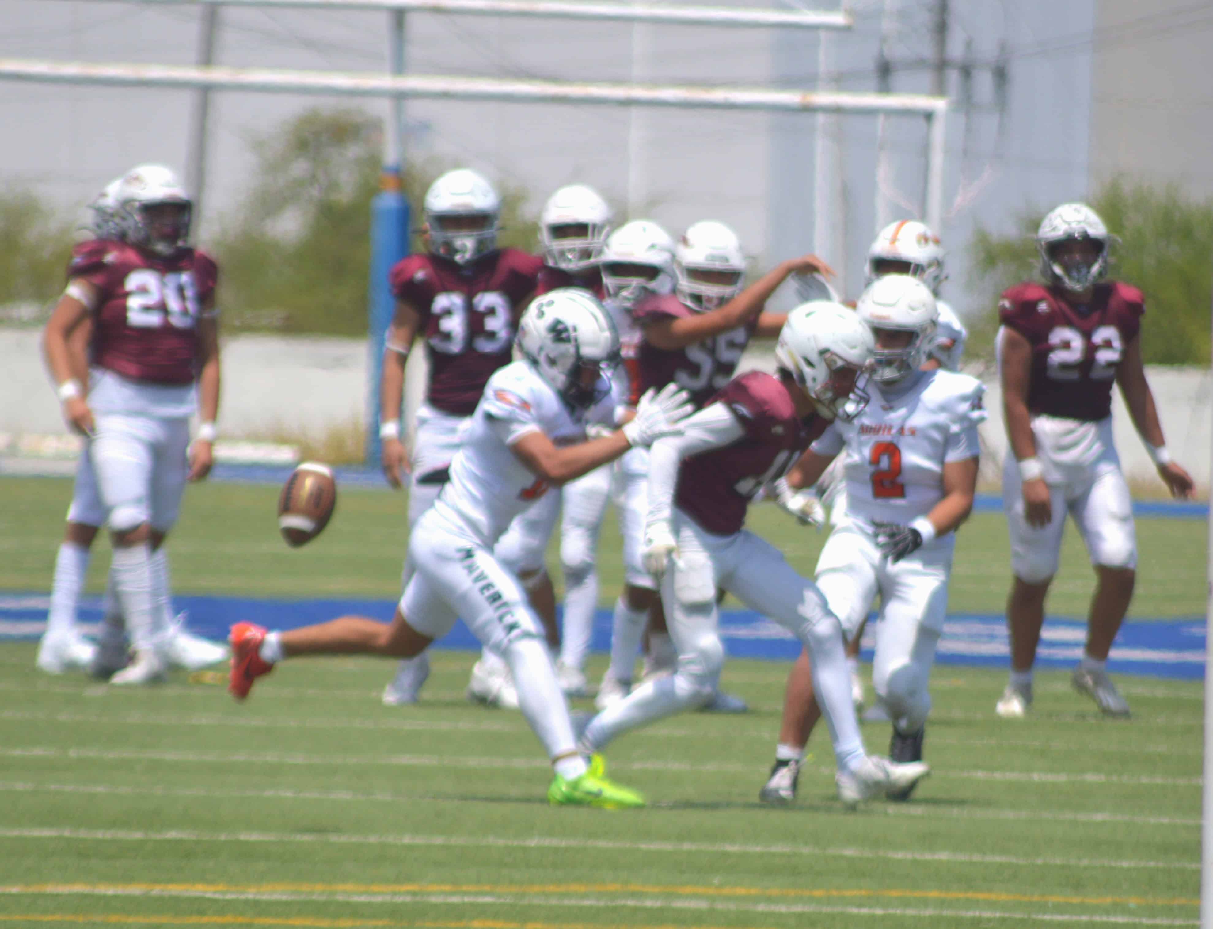 Potros triunfan en todas las categor&iacute;as: U-14, U-16 y U-18