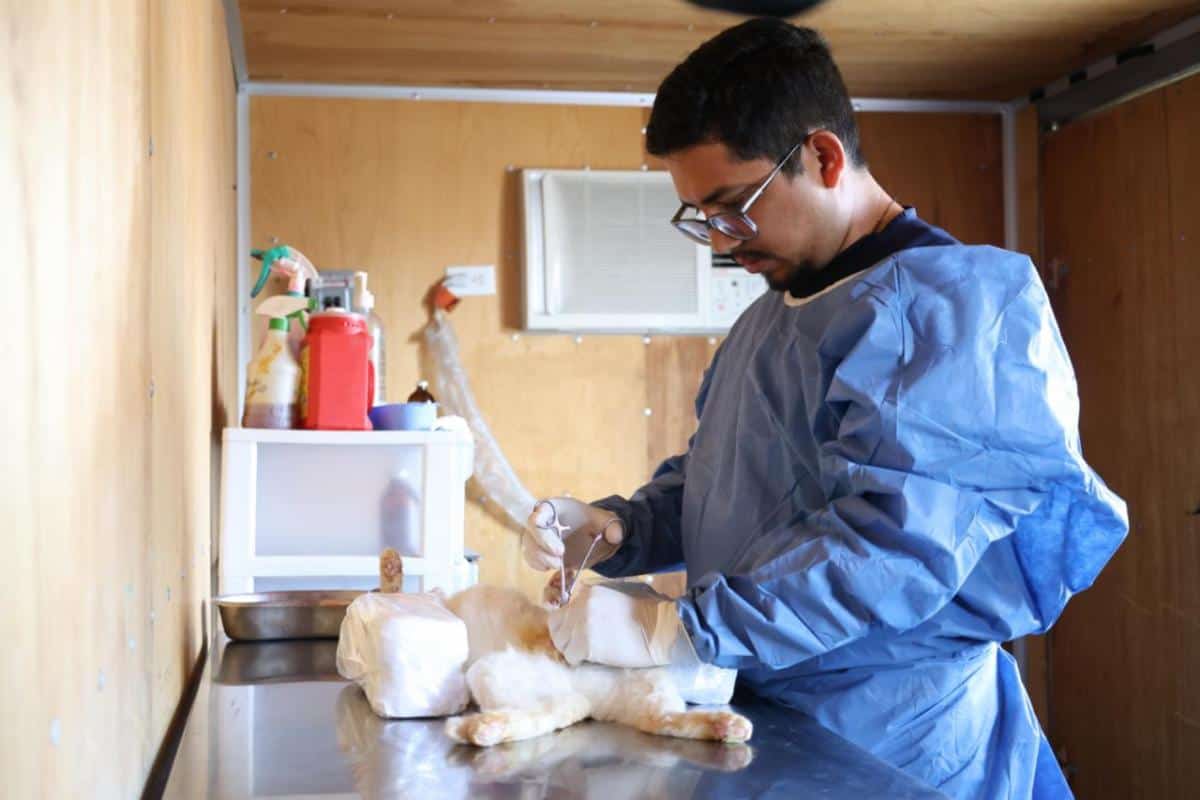 Realizan Campa&ntilde;a de Esterilizaci&oacute;n en Saltillo