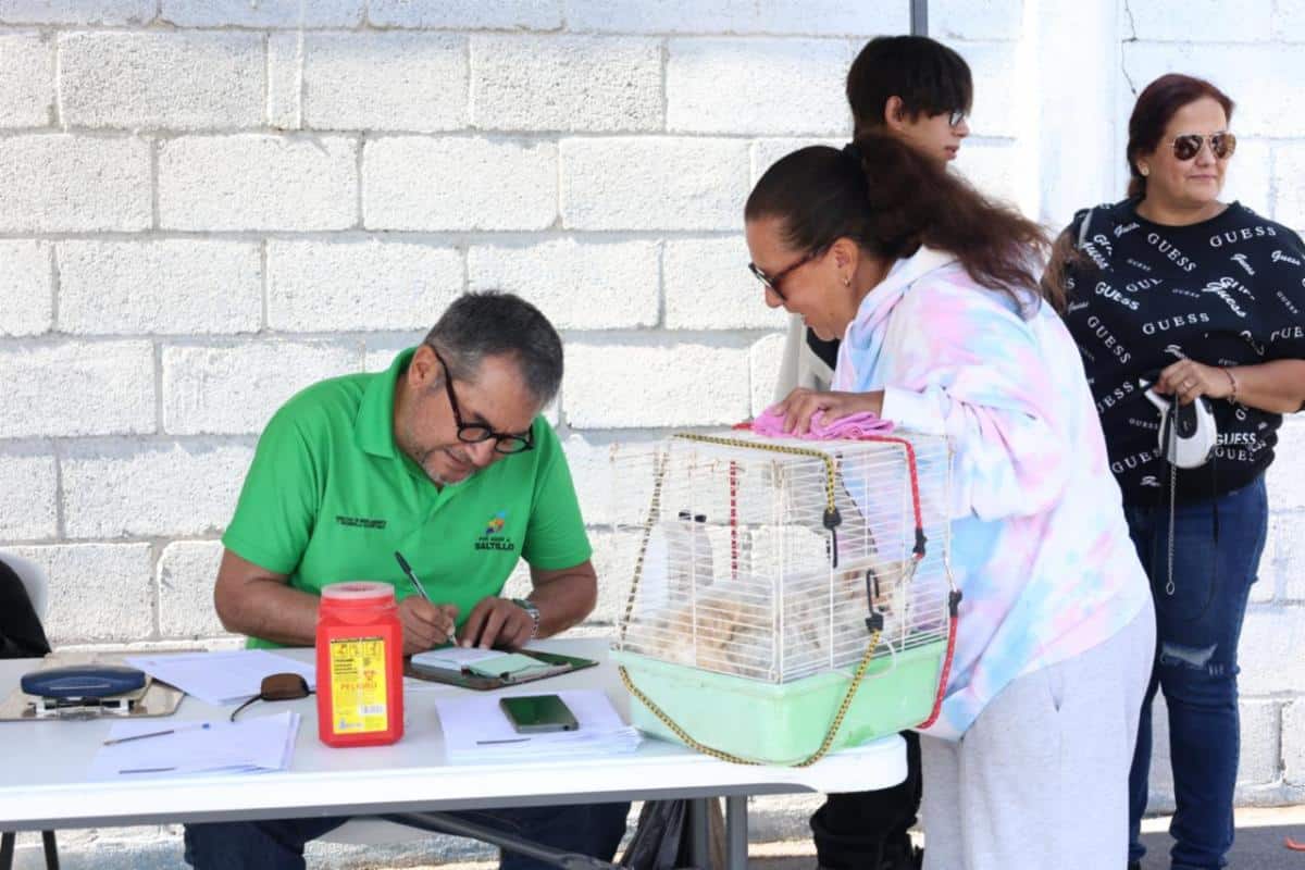 Realizan Campa&ntilde;a de Esterilizaci&oacute;n en Saltillo
