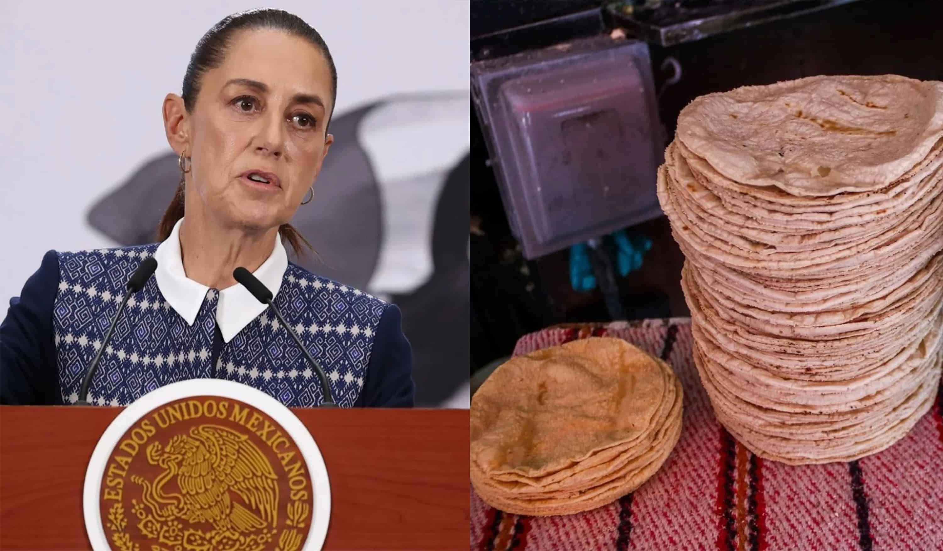 Anuncian aumento del precio de la tortilla pero Sheinbaum lo desmiente