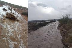 Lluvias traen alivio a ganaderos de Ciudad Acuña tras meses de sequía