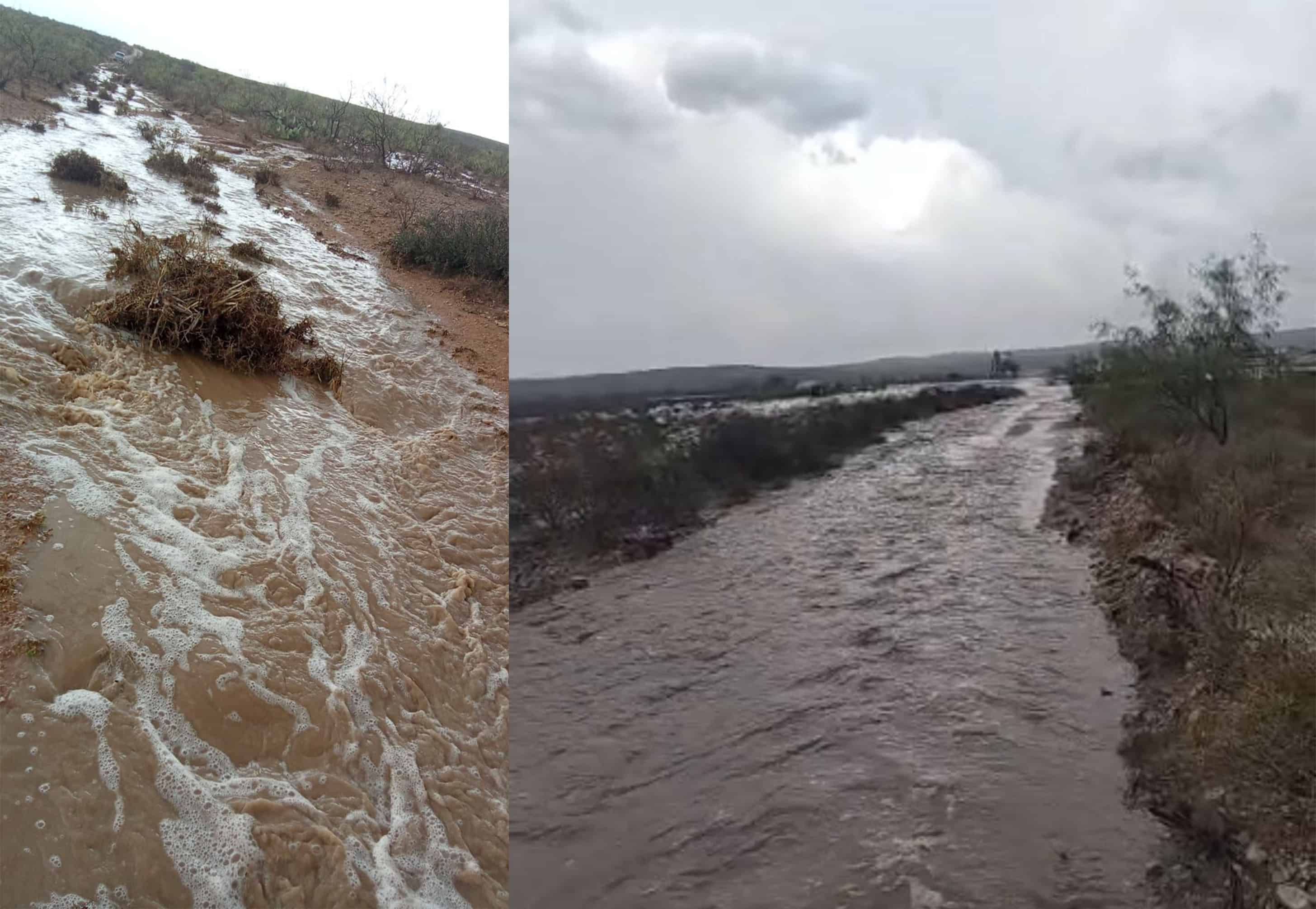 Lluvias traen alivio a ganaderos de Ciudad Acu&ntilde;a tras meses de sequ&iacute;a