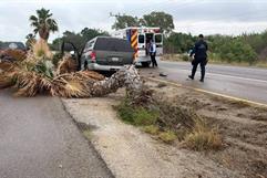 Accidente automovilístico en Morelos-Nava moviliza cuerpos de emergencia