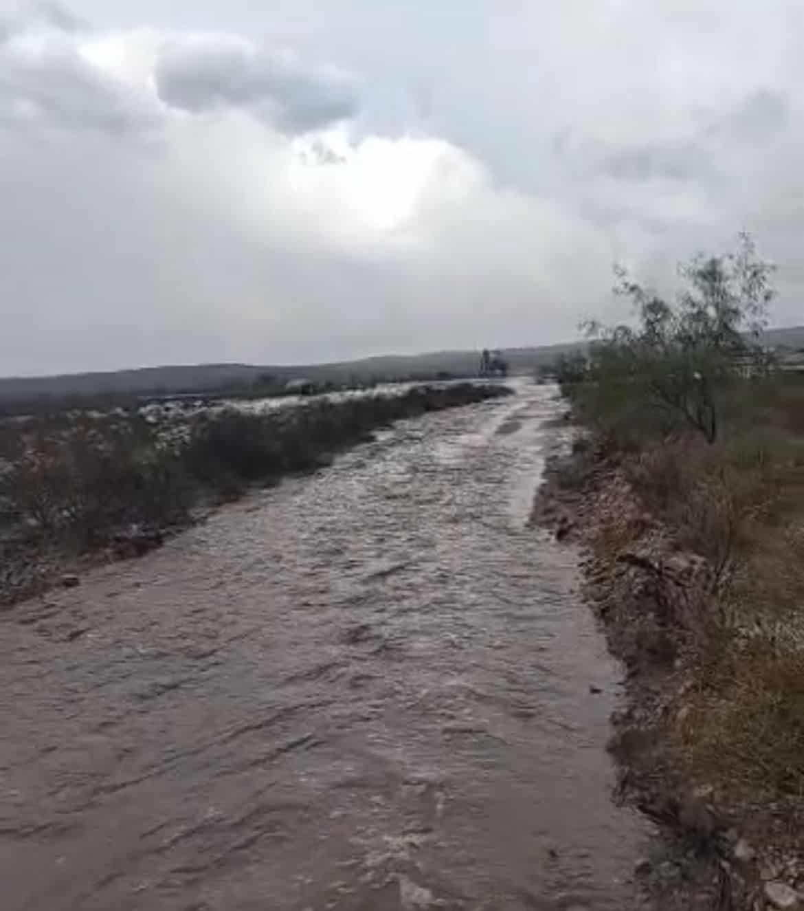 Lluvias dan respiro a ganaderos tras prolongada sequ&iacute;a