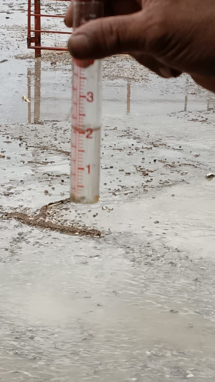 Lluvias dan respiro a ganaderos tras prolongada sequ&iacute;a