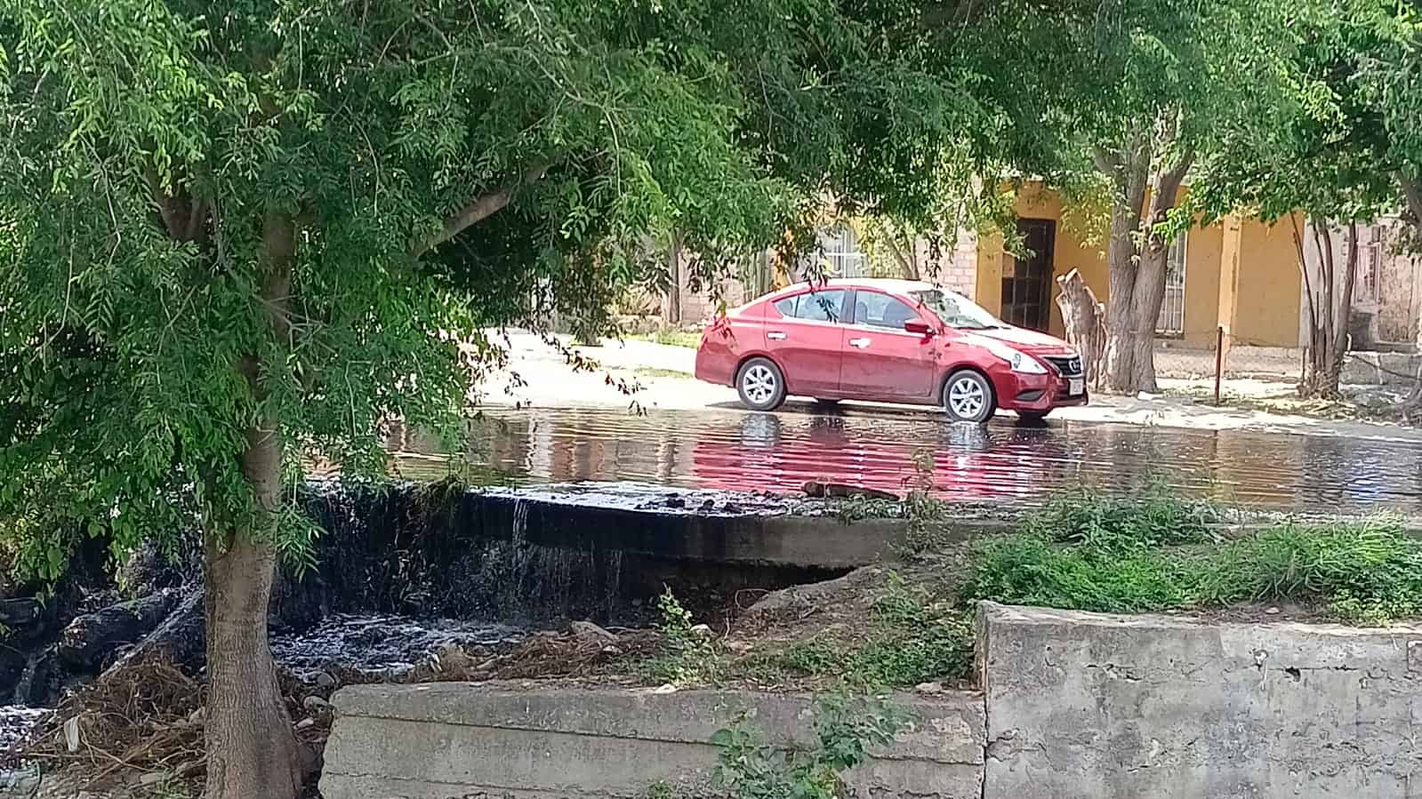 Habitantes de colonia Sarabia piden soluci&oacute;n a drenaje colapsado en Sabinas