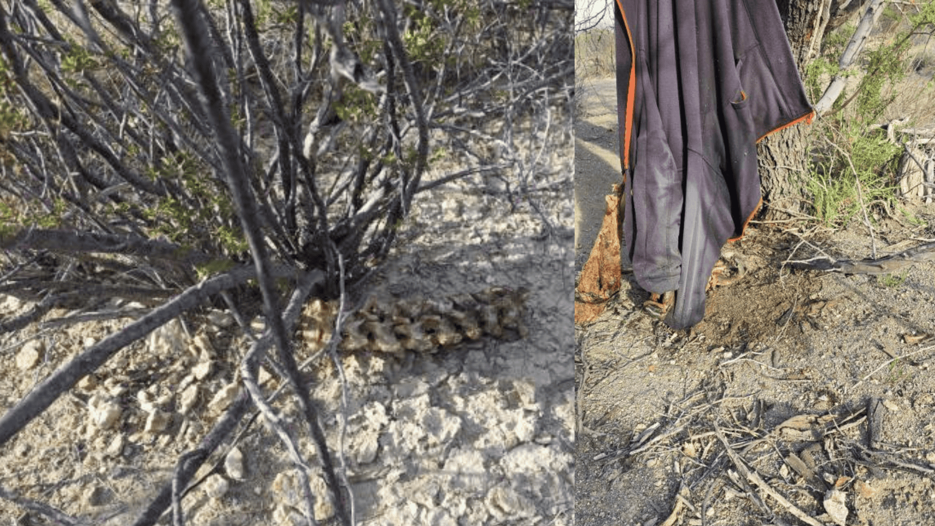 Identifican restos hallados en paraje de General Cepeda; corresponder&iacute;an a hombre desaparecido